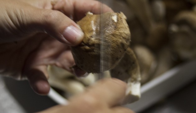 pulizia-dei-funghi-porcini-pulisci-la-testa-con-un-coltellino