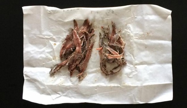 ricetta-delle-acciughe-sott-olio-sfiletta-le-acciughe