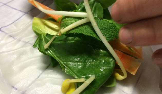 fresh-spring-rolls