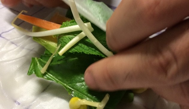 fresh-spring-rolls