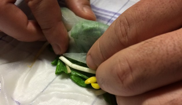 fresh-spring-rolls