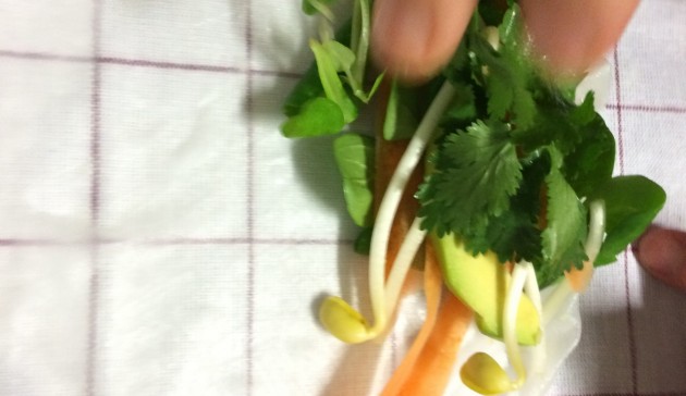 fresh-spring-rolls
