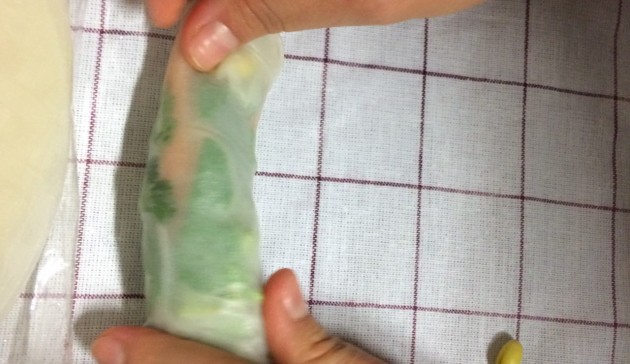 fresh-spring-rolls
