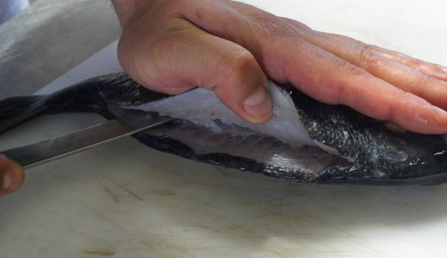 come-sfilettare-il-pesce