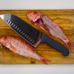 come-sfilettare-il-pesce